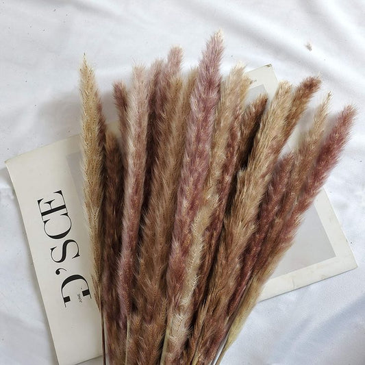 Bakewareind Dried Reed Pampass Grass, Brown - Bakeware India