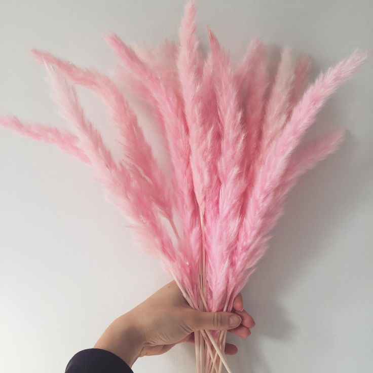 Bakewareind Dried Reed Pampass Grass, Pink - Bakeware India