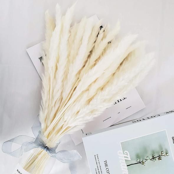 Bakewareind Dried Reed Pampass Grass, White - Bakeware India