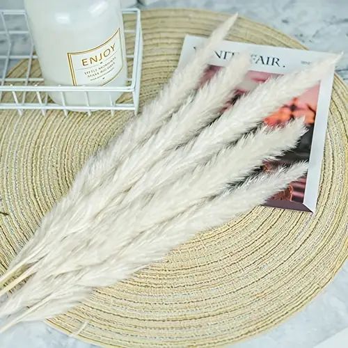 Bakewareind Dried Reed Pampass Grass, White - Bakeware India
