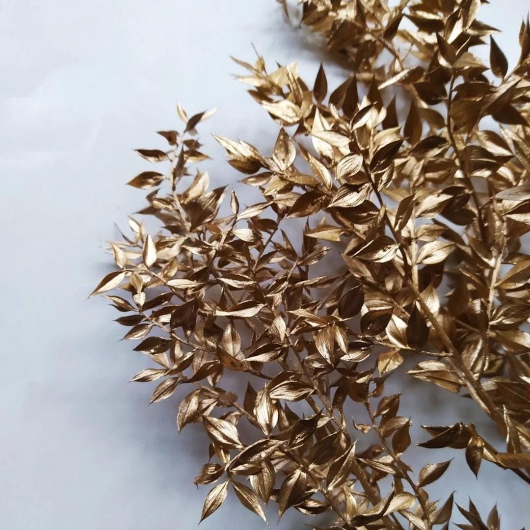 Bakewareind Dried Ruscus Grass Cake Decorating ( Select Colors) - Bakeware India