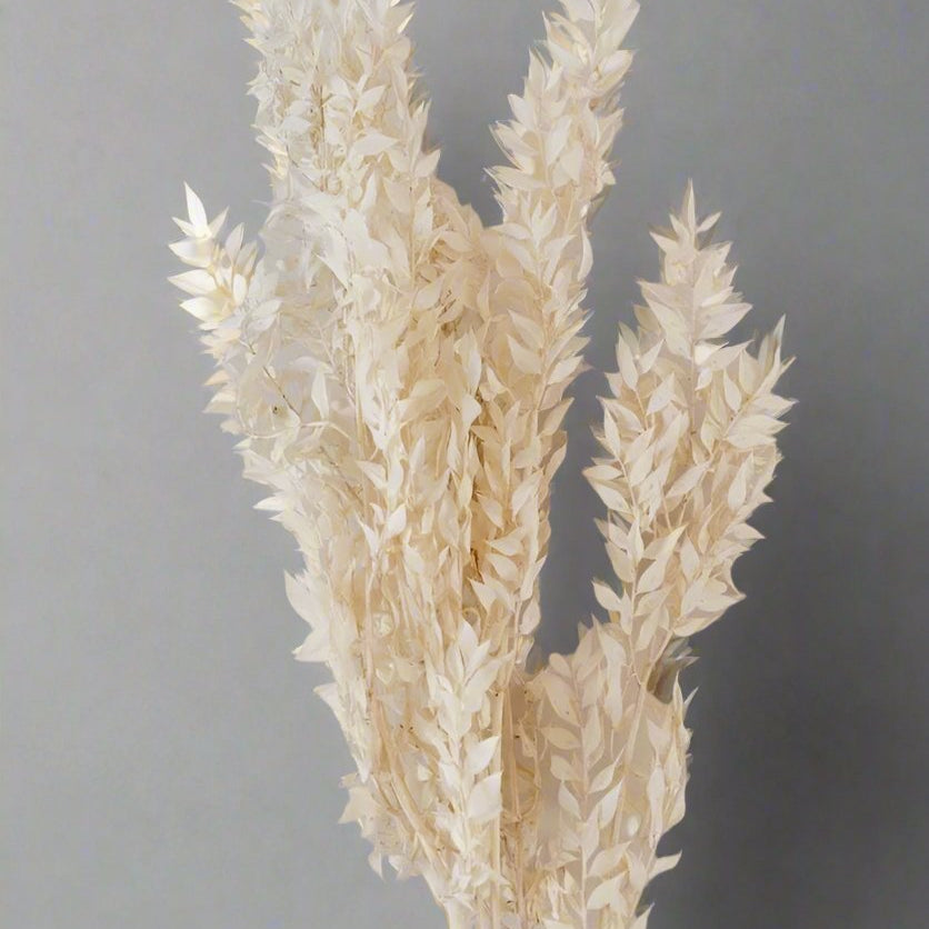 Bakewareind Dried Ruscus Grass Cake Decorating ( Select Colors) - Bakeware India