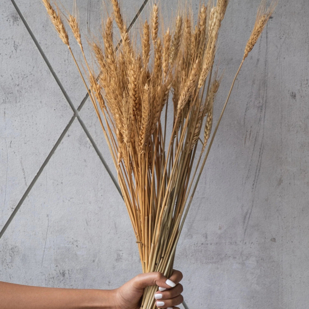 Bakewareind Dried Wheat Grass Cake Topper,Natural 20 Stems - Bakeware India