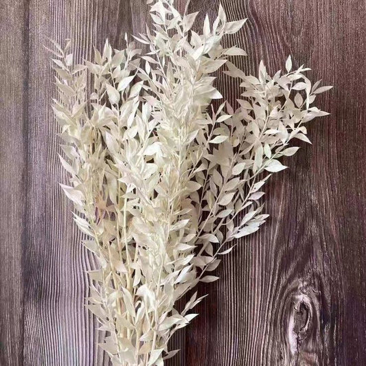 Bakewareind Dried White Ruscus Grass Cake Decorating - Bakeware India
