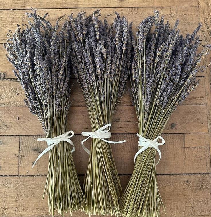 Bakewareind Lavender Natural Dried Flower Preserved - Bakeware India