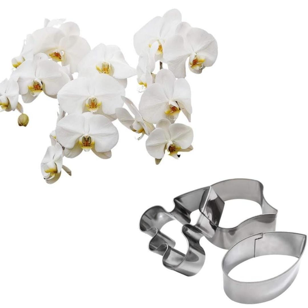 Bakewareind Orchid Leaf Veiner Steel Cutter, 3pc - Bakeware India