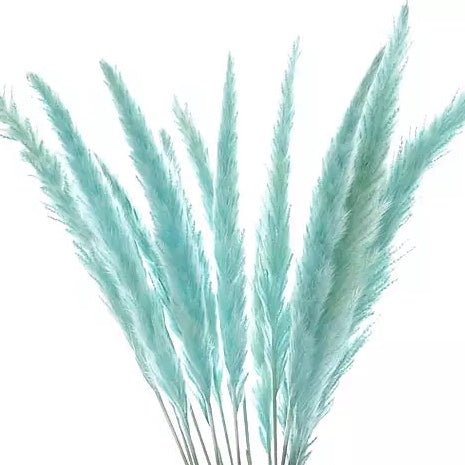 Bakewareind Colored Dried Reed Pampass Grass - Bakewareindia
