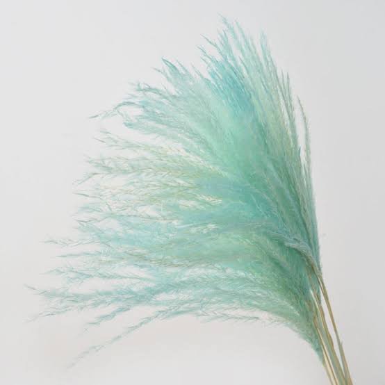 Bakewareind Colored Dried Reed Pampass Grass - Bakewareindia