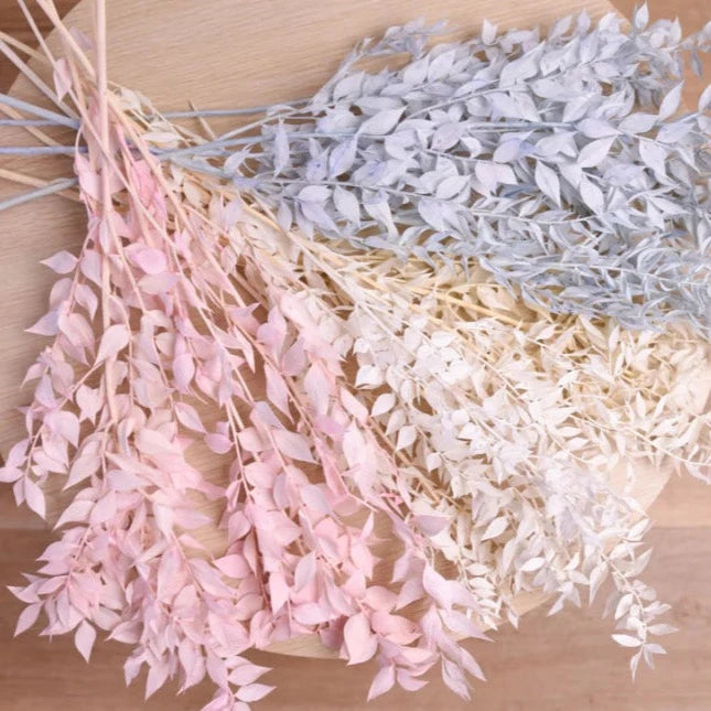 Bakewareind Dried Ruscus Grass Cake Decorating - Bakewareindia