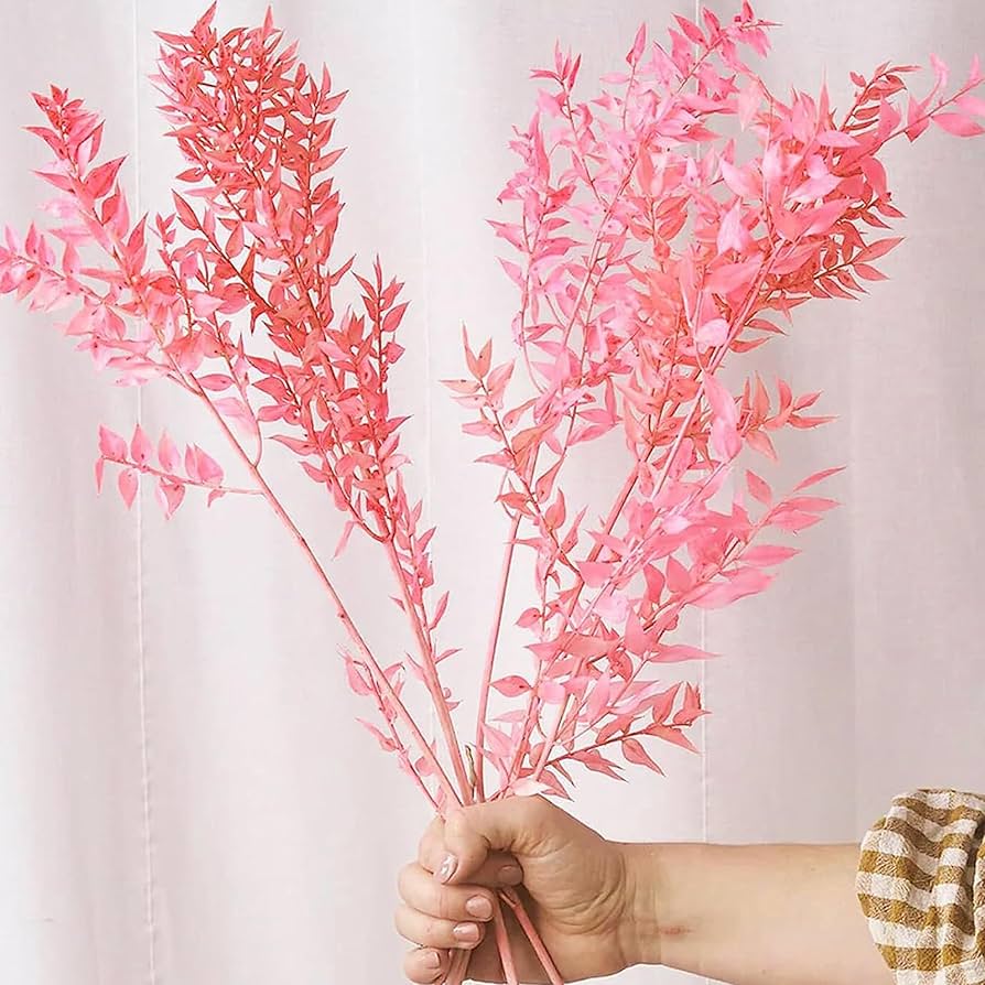Bakewareind Dried Ruscus Grass Cake Decorating - Bakewareindia