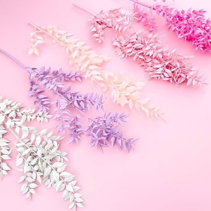Bakewareind Dried Ruscus Grass Cake Decorating ( Select Colors) - Bakeware India