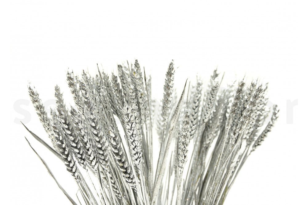 Bakewareind Dried Wheat Grass Cake Topper,Silver - Bakewareindia