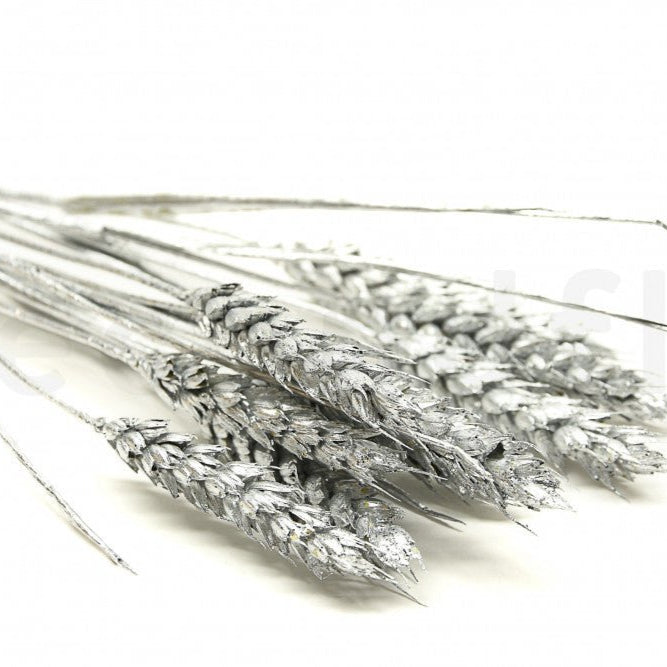 Bakewareind Dried Wheat Grass Cake Topper,Silver - Bakewareindia