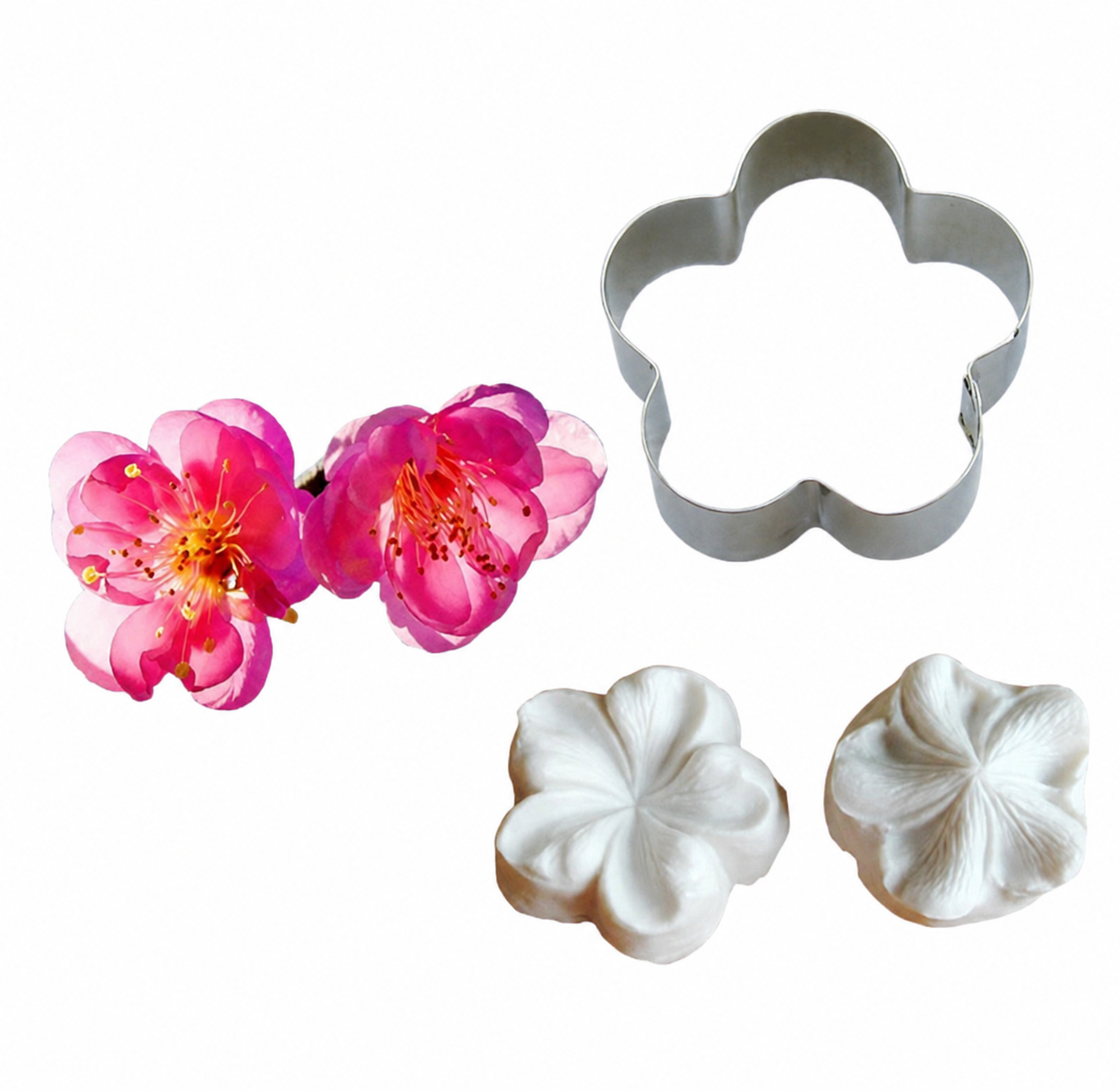Bakewareind 3D Flower Bloosom Petal Leaves Veiner Silicone Mould & Stainless Cutter, 3pcs