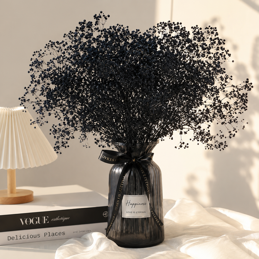 Bakewareind Baby Breath Gysophilia Dried Flower, Black