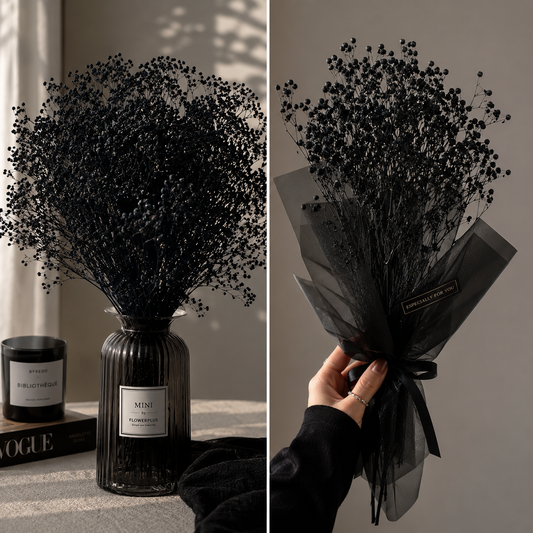 Bakewareind Baby Breath Gysophilia Dried Flower, Black