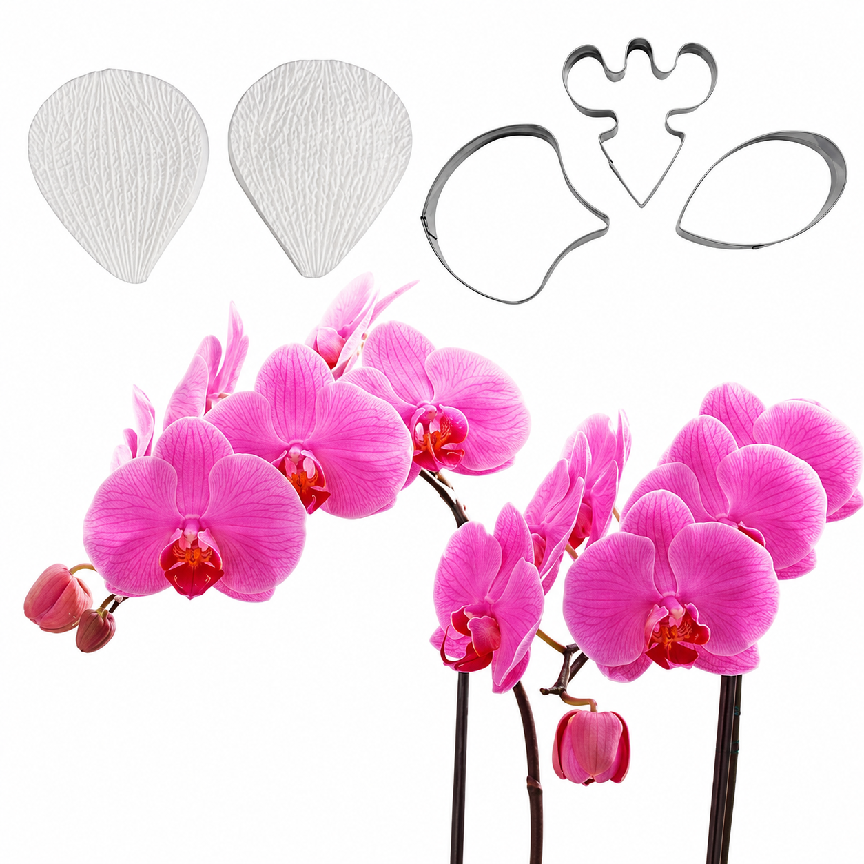 Bakewareind Orchid Petal Flower Veiner Silicone Mould & Stainless Cutter, 5pcs