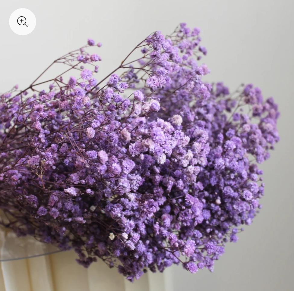 Bakewareind Baby Breath Gysophilia Dried Flower, Purple
