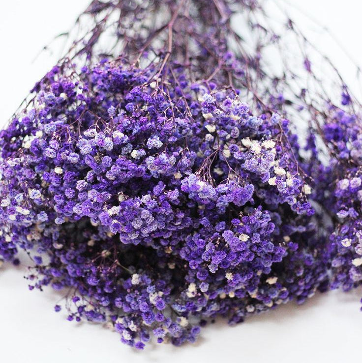 Bakewareind Baby Breath Gysophilia Dried Flower, Dark Purple