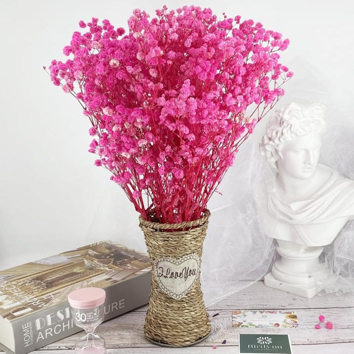 Bakewareind Baby Breath Gysophilia Dried Flower, Pink