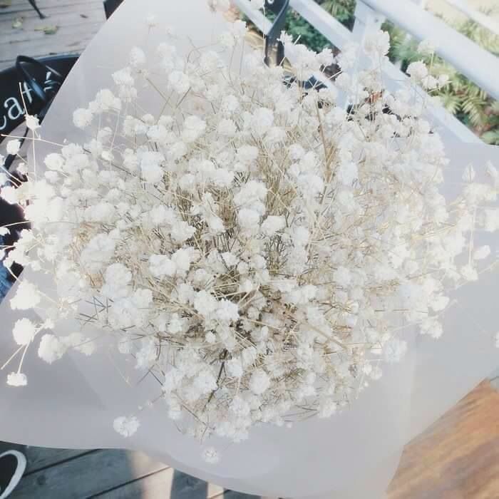 Bakewareind Baby Breath Gysophilia Dried Flower, White