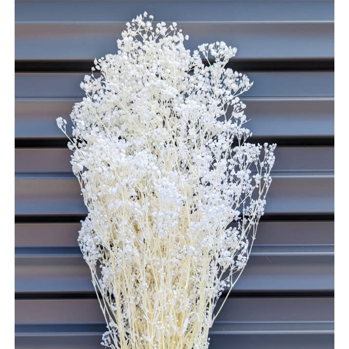 Bakewareind Baby Breath Gysophilia Dried Flower, White