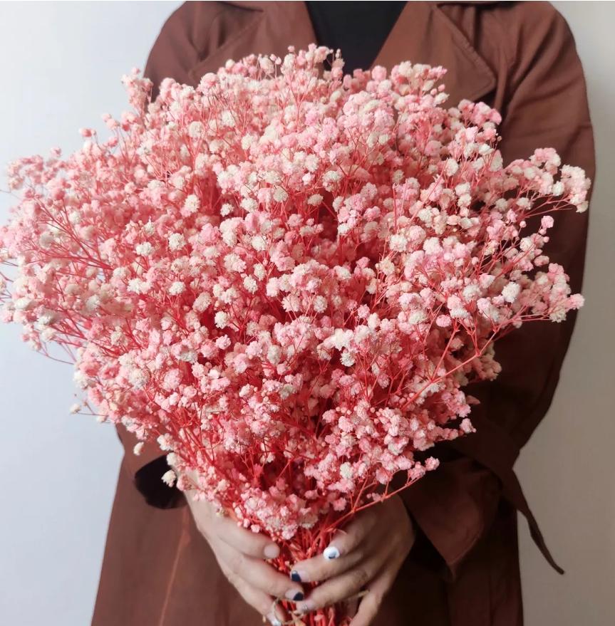 Bakewareind Baby Breath Gysophilia Dried Flower, Baby Pink