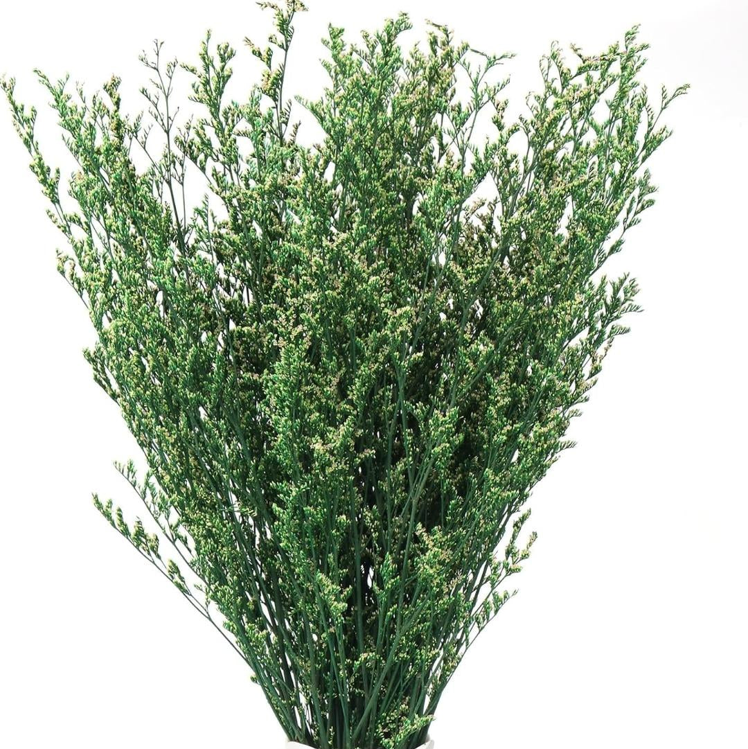 Bakewareind Dried Limonium Grass, Green