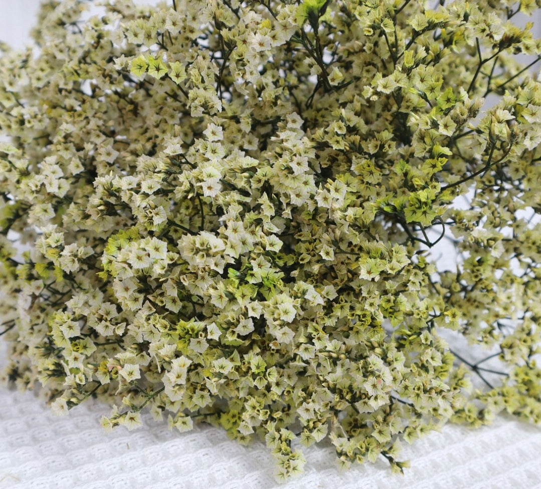 Bakewareind Dried Natural Crystal Grass, ( Select Color )