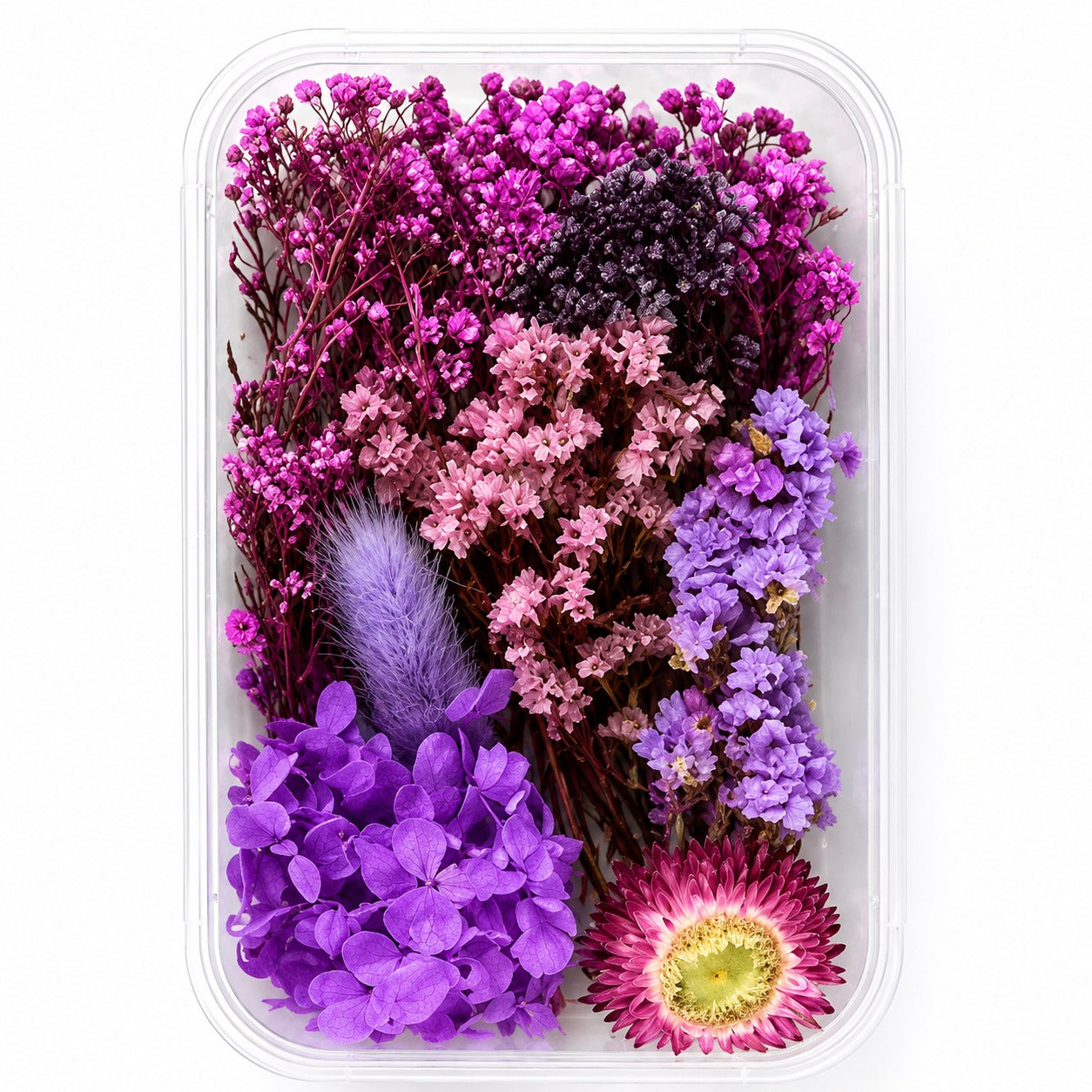 Bakewareind Dried Natural Flower Box, { Select Color }