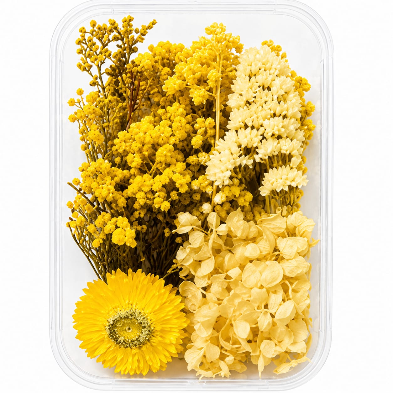 Bakewareind Dried Natural Flower Box, { Select Color }