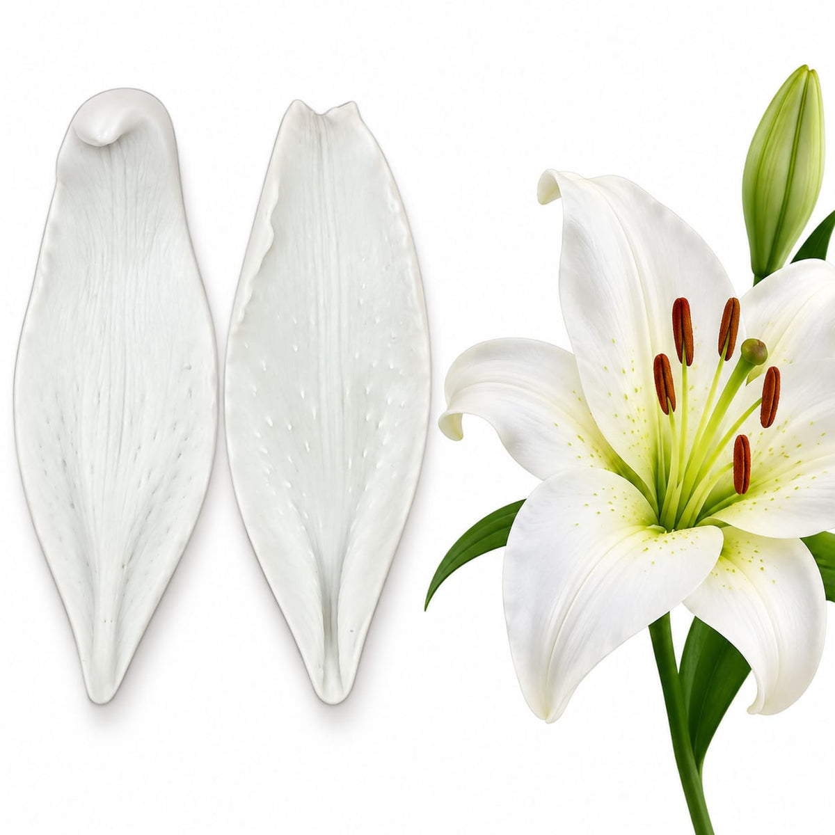 Bakewareind Lily Petal Leaves Veiner Silicone Mould ,2pcs