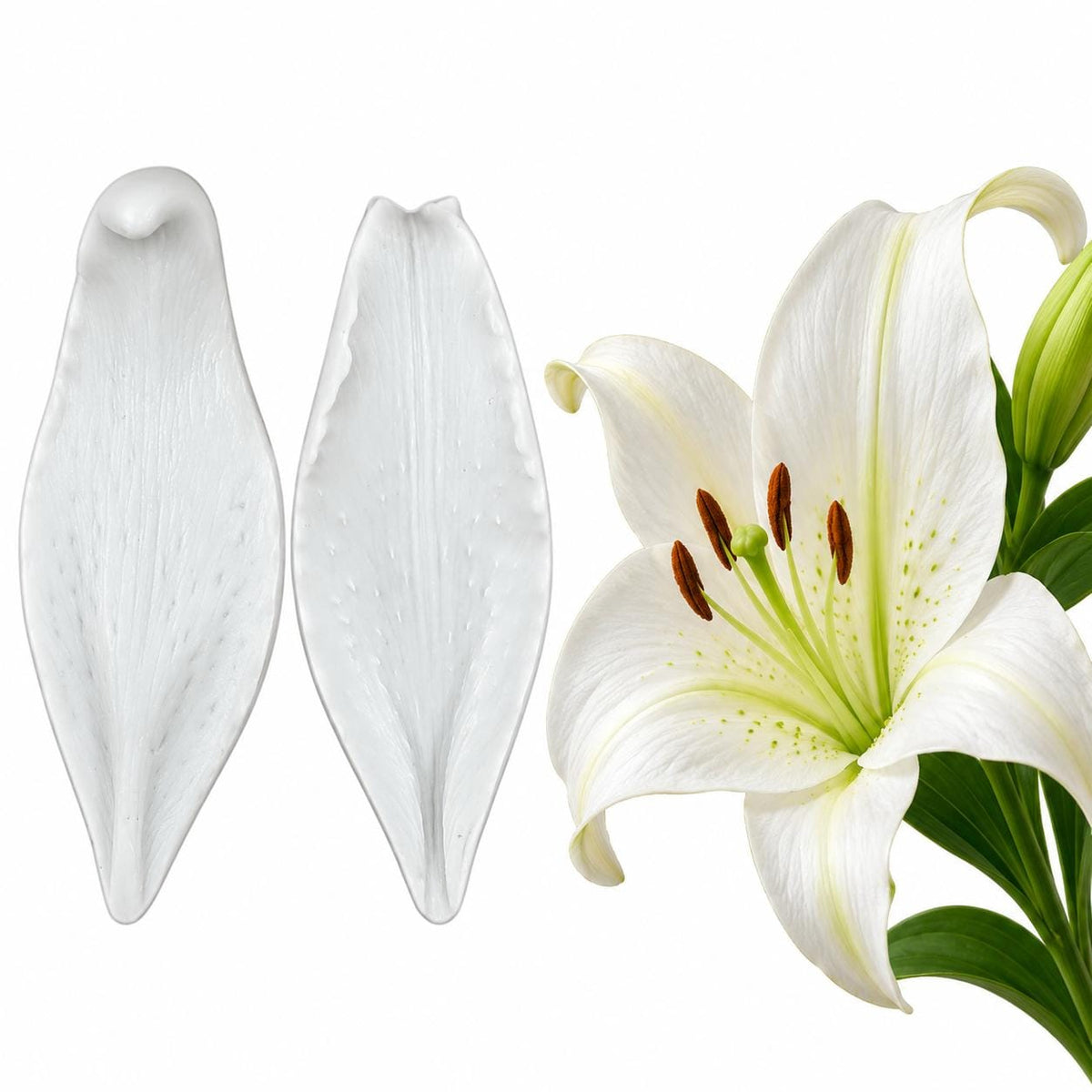 Bakewareind Lily Petal Leaves Veiner Silicone Mould ,2pcs
