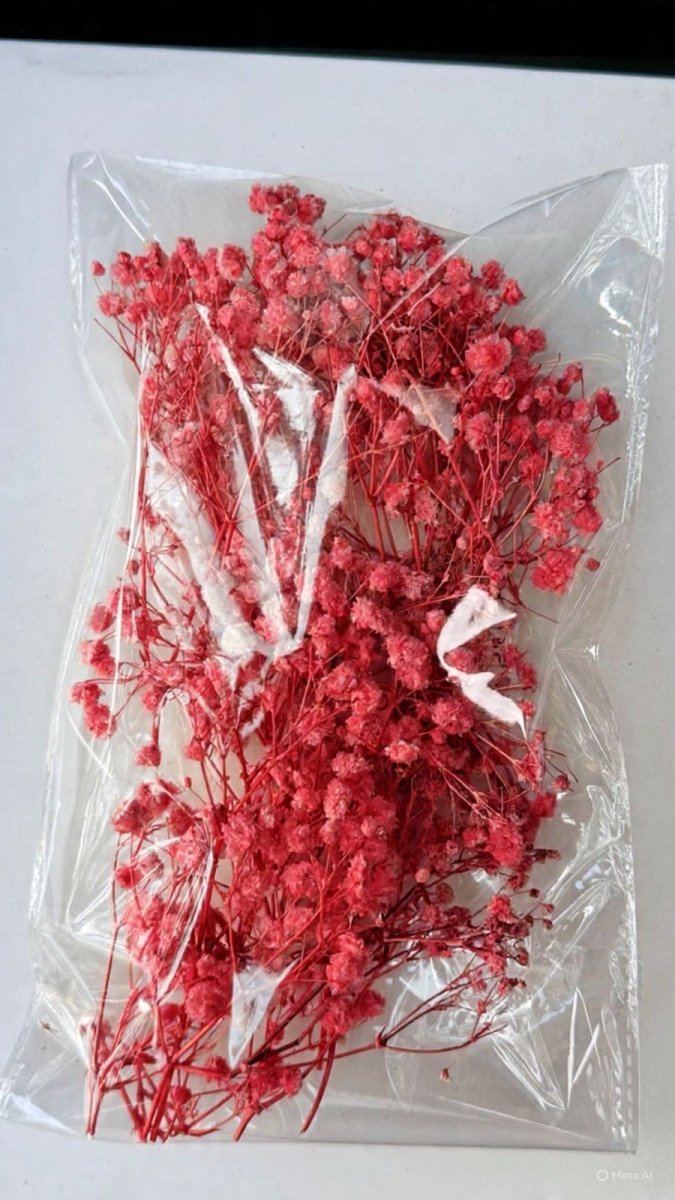 Bakewareind Baby Breath Dried Flower Pack - Bakeware India