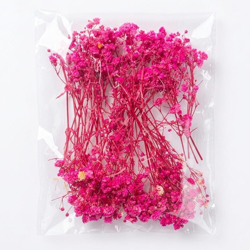 Bakewareind Baby Breath Dried Flower Pack - Bakeware India