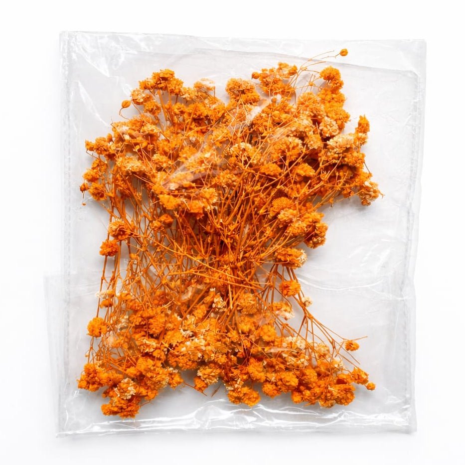 Bakewareind Baby Breath Dried Flower Pack - Bakeware India