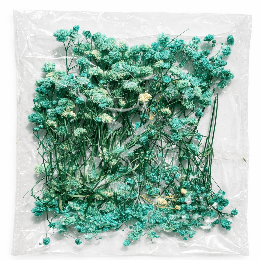 Bakewareind Baby Breath Dried Flower Pack - Bakeware India