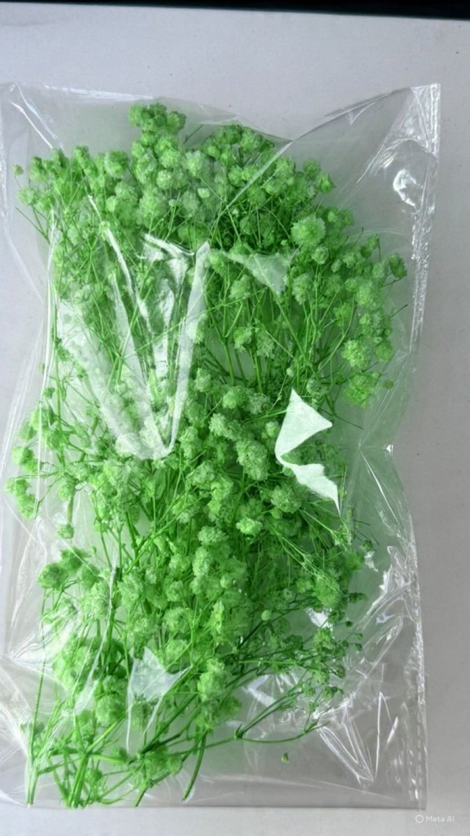 Bakewareind Baby Breath Dried Flower Pack - Bakeware India