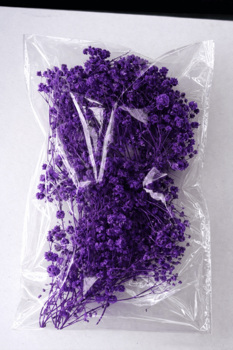 Bakewareind Baby Breath Dried Flower Pack - Bakeware India