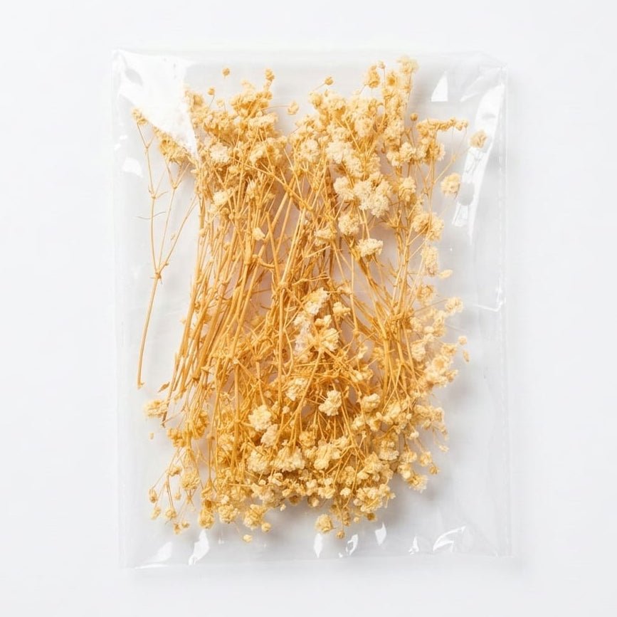 Bakewareind Baby Breath Dried Flower Pack - Bakeware India