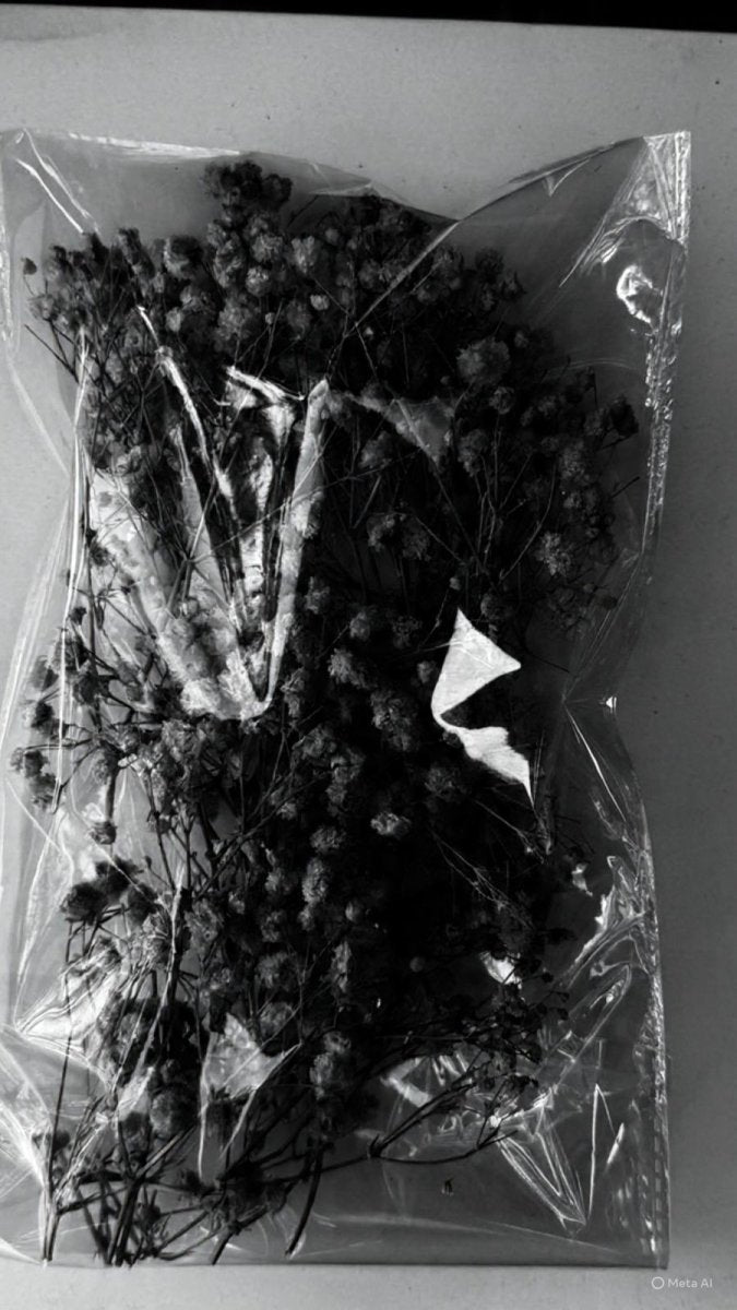 Bakewareind Baby Breath Dried Flower Pack - Bakeware India