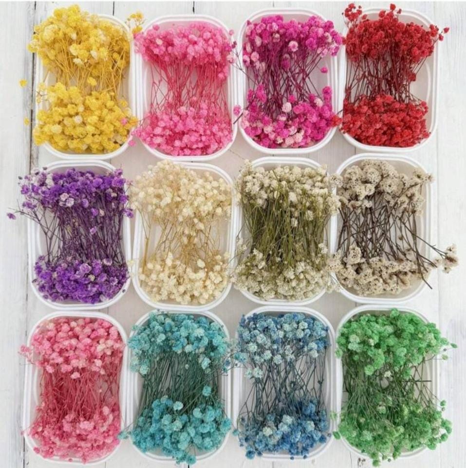 Bakewareind Baby Breath Dried Flower Pack - Bakeware India