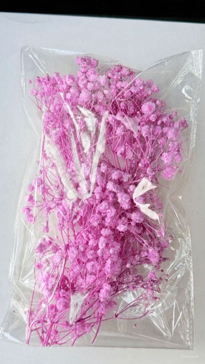 Bakewareind Baby Breath Dried Flower Pack - Bakeware India