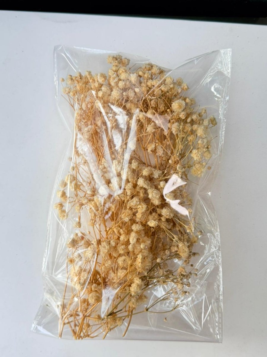 Bakewareind Baby Breath Dried Flower Pack - Bakeware India