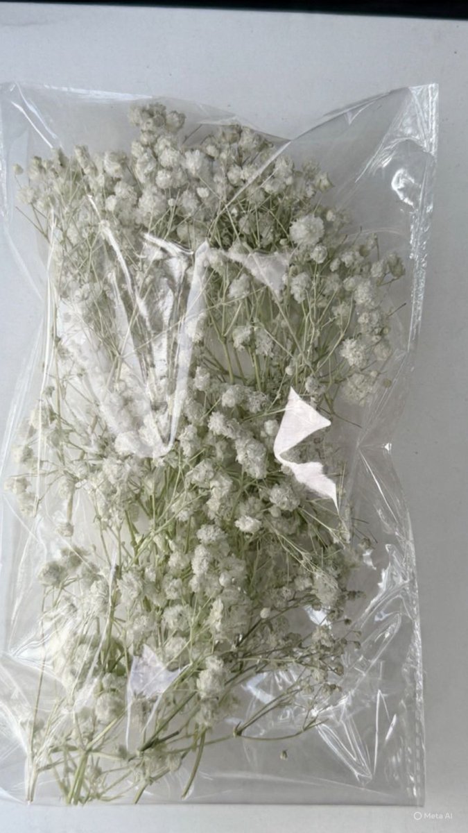 Bakewareind Baby Breath Dried Flower Pack - Bakeware India