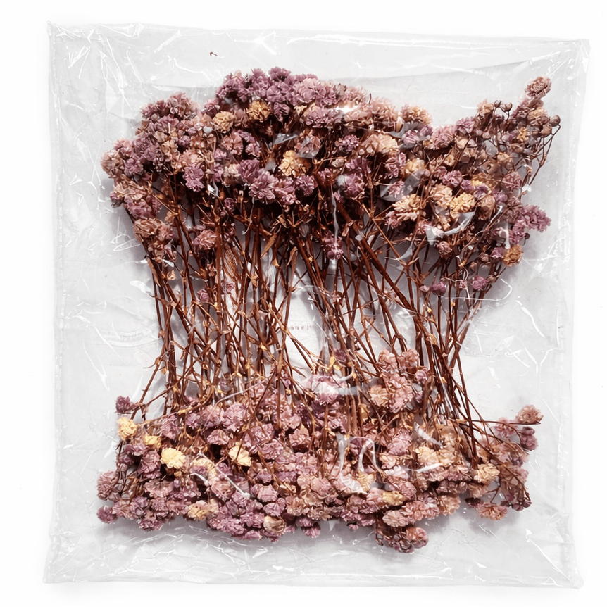 Bakewareind Baby Breath Dried Flower Pack - Bakeware India