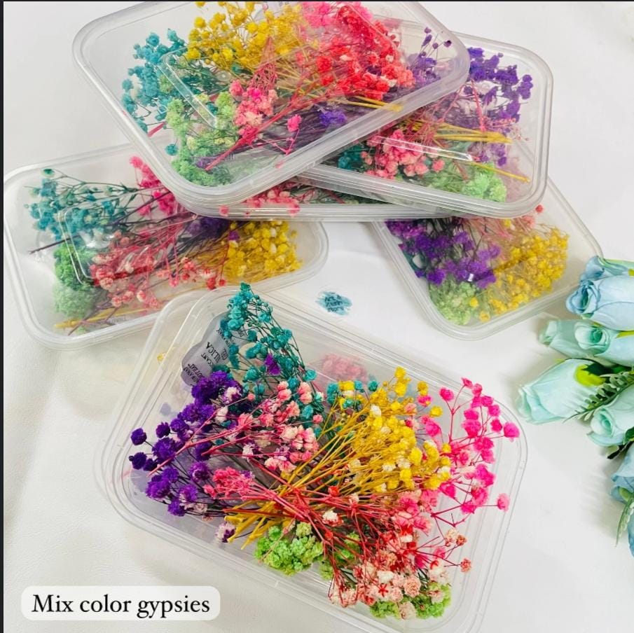 Bakewareind Baby Breath Dried Flower Pack - Bakeware India