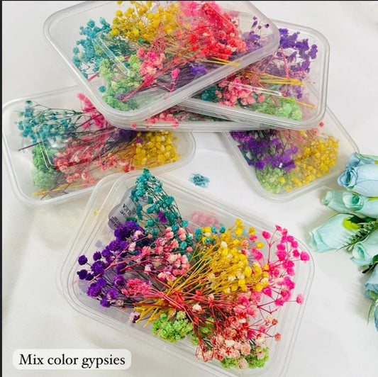 Bakewareind Baby Breath Dried Flower Pack - Bakeware India