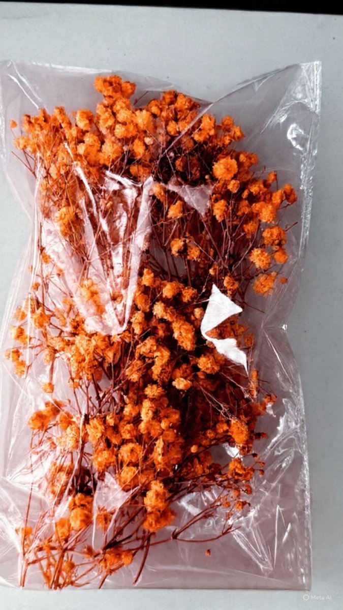 Bakewareind Baby Breath Dried Flower Pack - Bakeware India