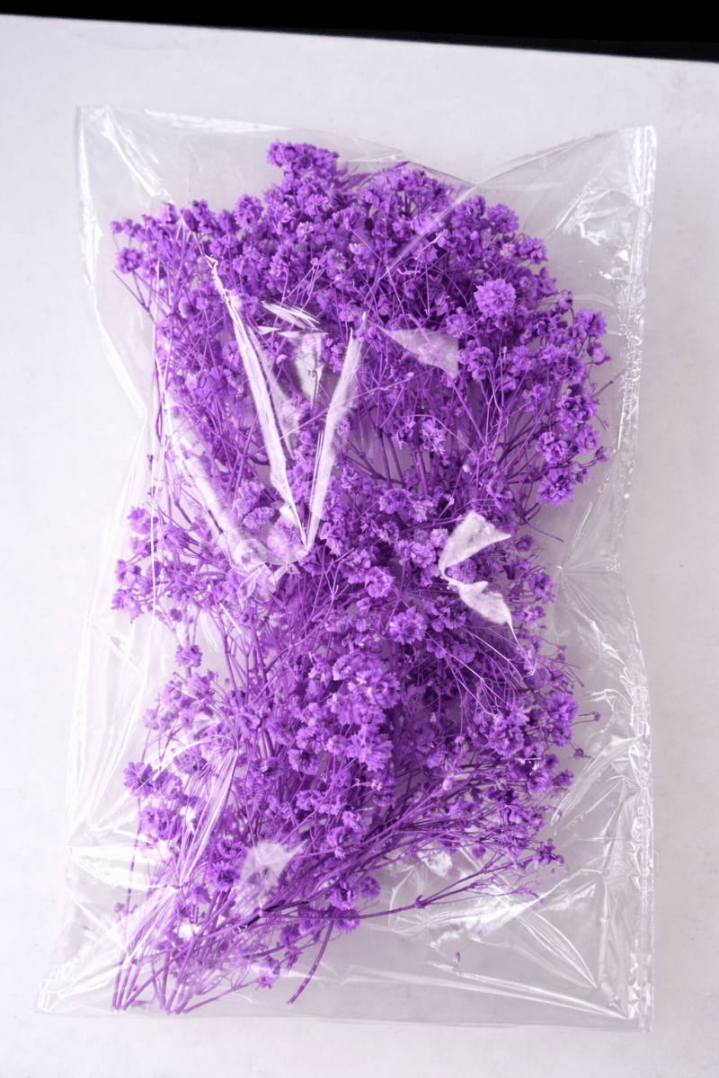 Bakewareind Baby Breath Dried Flower Pack - Bakeware India